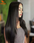 Straight Glueless Human Blend Luxury Wig.